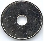 WashTec wasmunt neutraal D24x1.4 met gat